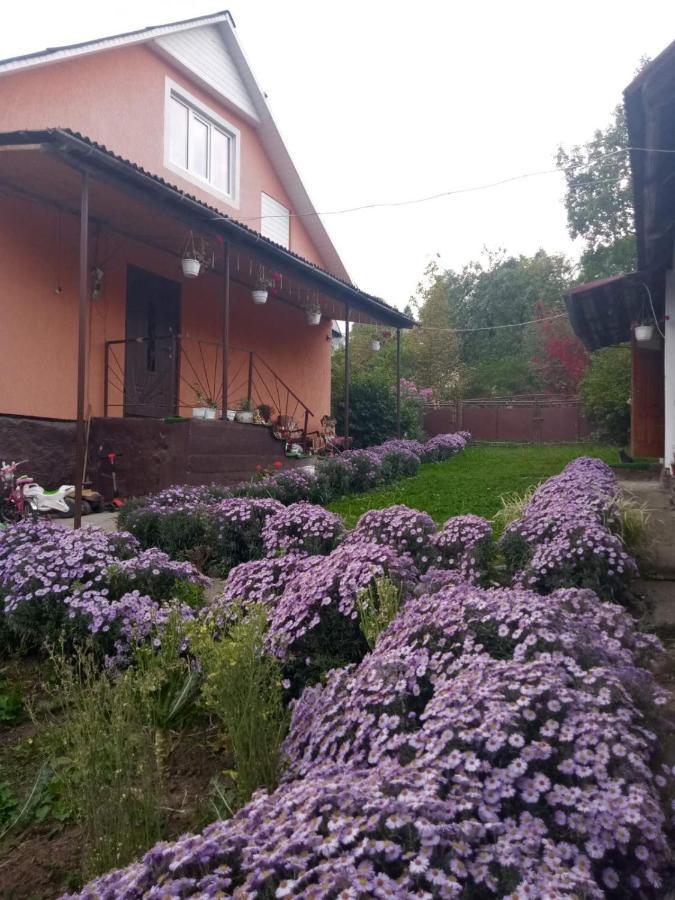 Gostynnyi Dvir U Marichky Hotel Lazeshchyna Bagian luar foto